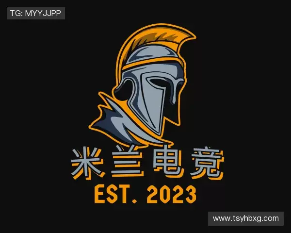 介绍米兰电竞